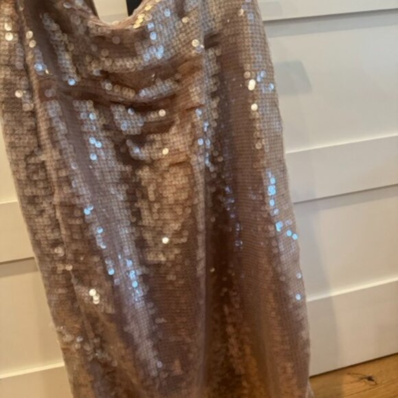 Madewell Sequin Skirt - Picture 6 of 13